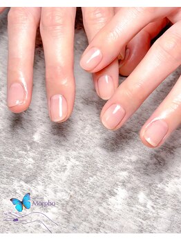 モルフォ 千駄ヶ谷(Morpho)/つやつやワンカラー