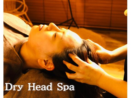 ラナ(LANA)の写真