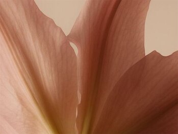 月定額デザイン/ご新規6900～