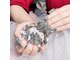 スアネイルサロン 四日市(SuA Nail Salon)の写真