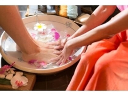 ムートンの写真