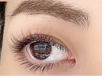 ディーキャットリープラスアイ(D Catrry+eye)の写真/【話題のまつ毛パーマ】自まつ毛を根元からグッと立ち上げる次世代まつ毛パーマ♪ダメージレスな施術◎