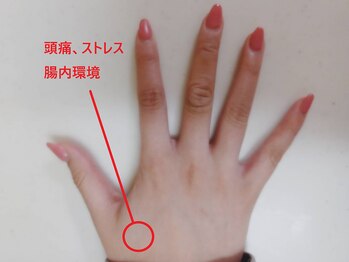 フェニーチェ(FENICE)/万能ツボ!!