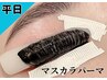 平日限定◎【マスカラパーマ】まつげパーマでぱっちり目元に♪¥8,800→6,300