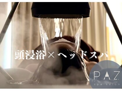 パズ(PAZ)の写真