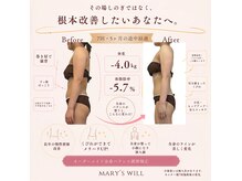 マリーズウィル(MARY's WILL)