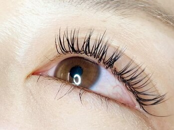 ウルカ アイラッシュ(uruka EYELASH)/フラットラッシュ 140本