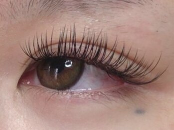 ウルカ アイラッシュ(uruka EYELASH)/フラットラッシュ 160本