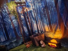 森の中のような癒しの空間♪