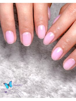 モルフォ 千駄ヶ谷(Morpho)/つやつやワンカラー