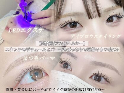 タマ(Tama.)の写真