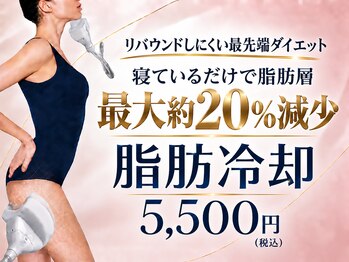 グレイスボディ BiViつくば店(Grace Body)の写真/【新導入!!】"脂肪冷却×電磁パルス"話題&当店人気の脂肪冷却をお得な価格でぜひお試し下さい◎