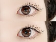 ミーム(meme)/フラットラッシュ