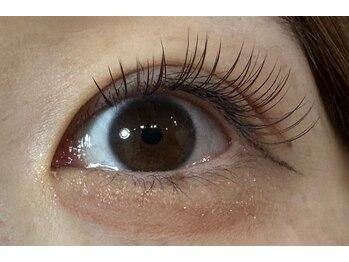 シャンティ 琴似店(Shanti)/ブラウン×テラコッタ