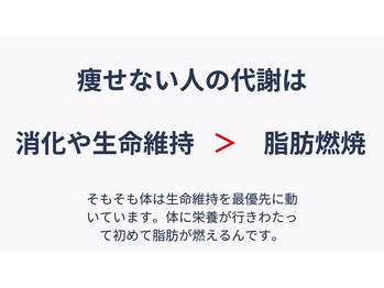 アルファ(alpha)/