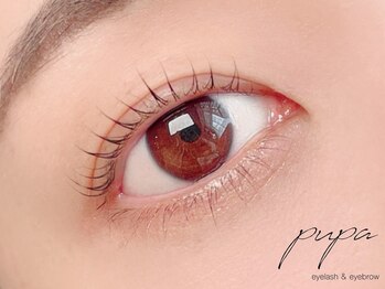 プパ 烏丸店(pupa)/マツエク/まつげパーマ/眉毛専門