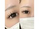 エレ(ele)の写真