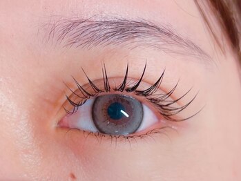 ルル アンド ワウ 薬院(Lulu&wau)/フラットラッシュ