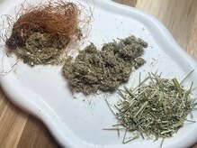 韓国発祥のよもぎ蒸し☆デットクス/美肌/婦人健康から選べます！