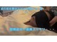 ルアナ(Luana)の写真
