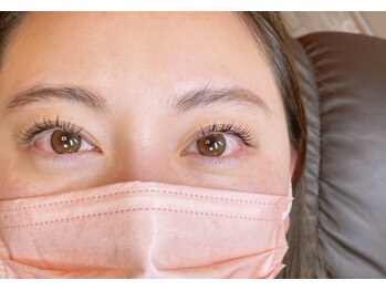 デイズ アイ ベクシー(Day`s eye Becsy)/バインドロック120束