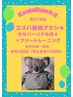 【Koala Gym本店】セミパーソナル月4回×女性専用ジム通い放題プラン¥11,000