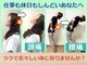 ニコ(nico)の写真