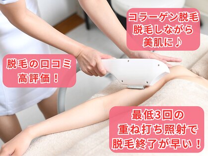 ソイ(Soi)の写真