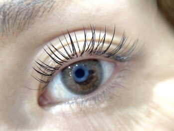 ルピナス(Lupinus)の写真/創業10年・エクステ率9割のLupinusへ￥6200~歴10年以上のスタッフ＋50,000名以上を施術した実力派サロン♪