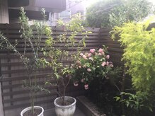 ラポーリア 白金台/