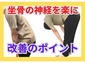 整体眞田流/腰だけでみてもダメなんです。