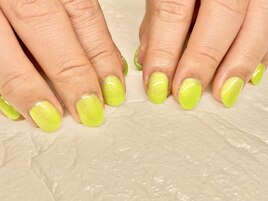 ワンカラー【B43】