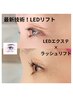【高持続:LEDのグルー使用】ホールドラッシュ60束(120本使用)持続力UP！