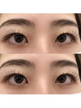 バニーアイズ 天神(Bunny eyes TENJIN)/フラットラッシュ120本