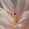 ネオラ 西梅田店(NEORA)のお店ロゴ