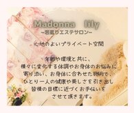 マドンナリリー(Madonna lily)