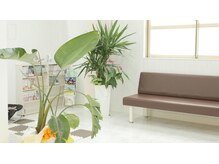 しんあい整体院 久留米院/清潔感のある院内♪