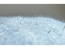 フレグラントオリーブ(fragrant olive)/フェイシャルWax