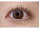 アリュール(allure)の写真