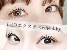 チコリ(chicory)