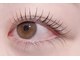 エムズ ラッシュ テンジン(m's☆lash tenjin)の写真/大人気の韓国まつげパーマでナチュラルにぱっちり盛れる♪面倒なビューラーの手間も無し★