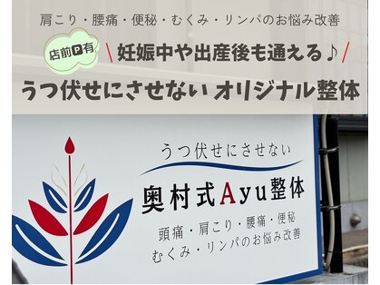 奥村式Ayu整体の写真