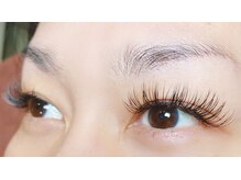 ビューティーコレクション アリレイナ(BEAUTY COLLECTION ARIREINA)/フラット160本