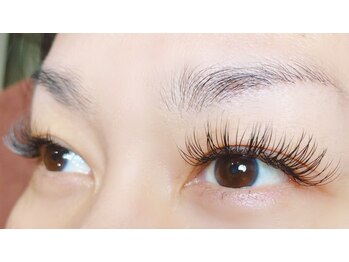 ビューティーコレクション アリレイナ(BEAUTY COLLECTION ARIREINA)/フラット160本