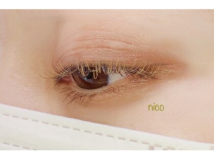 ニコ(nico)の写真