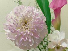 ハミングバード/今日のお花