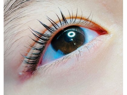 アミリー(amiry)の写真