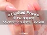 ★ 8/19ご来店限定 ★ ワンカラー/ラメグラデーション [他店オフ無料/ジェル]