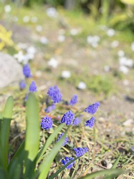 マシュマロハンド/よもぎ蒸し/冷え/むくみ改善