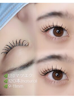 チコ 中津店(chico)/【LEDマツエク】